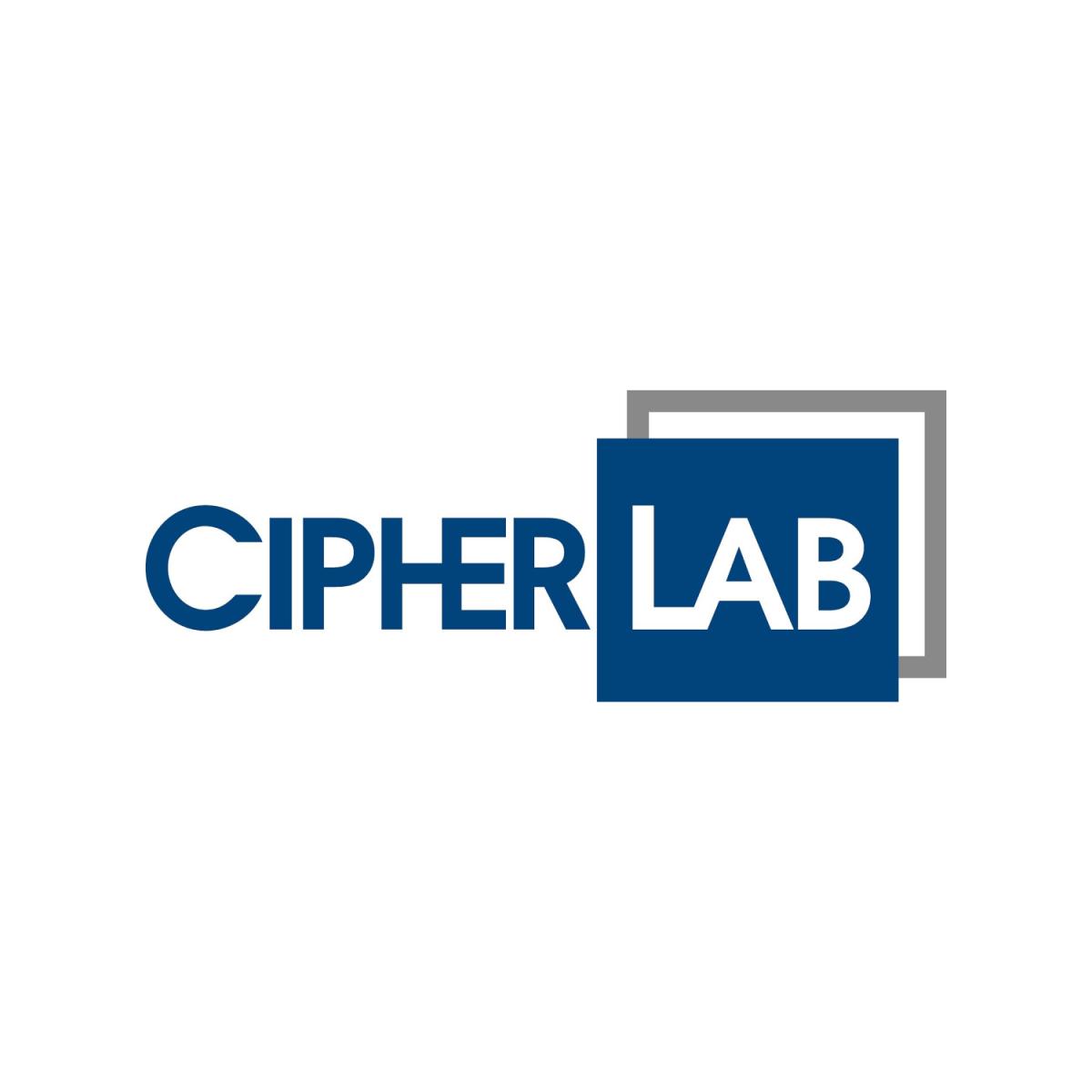 Ремешок для терминалов сбора данных CipherLab RS30/8001 с доставкой по Красноярску.